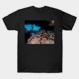 Diver in Cavern With School of Fish T-Shirt